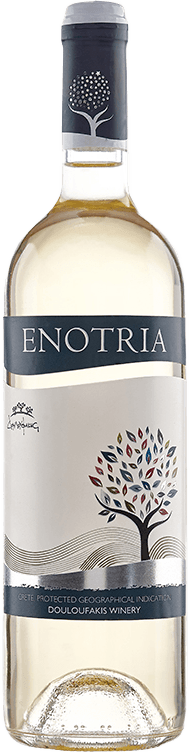 エノトリア ホワイト