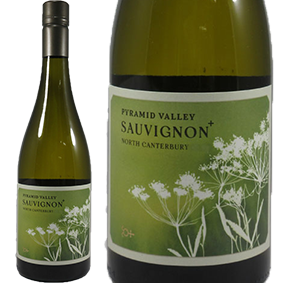 ノース　カンタベリー　ソーヴィニヨン　プラス