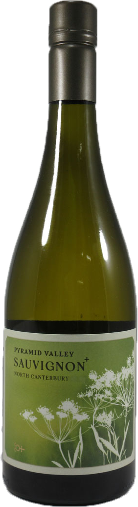 ノース　カンタベリー　ソーヴィニヨン　プラス