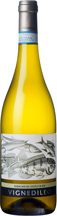 ヴェルディッキオ　デイ　カステッリ　ディ　イエージ　クラッシコ