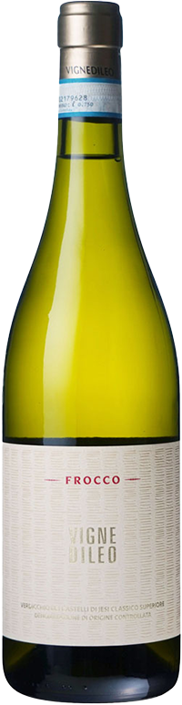 フロッコ　ヴェルディッキオ　デイ　カステッリ　ディ　イエージ　クラッシコ　スペリオーレ