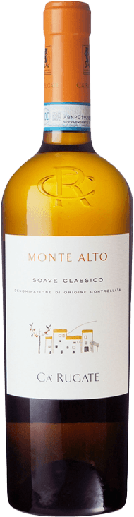 ソアーヴェ　クラッシコ　モンテ　アルト