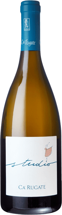 ステュディオ　ビアンコ　ヴェネト