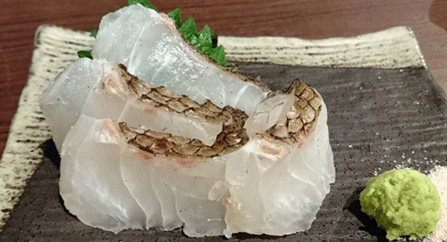 白身魚のお刺身、シーフードサラダ等
