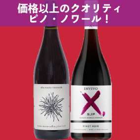 【限定2セット】価格以上のクオリティ、ピノ・ノワール！！アルタマリア ピノ・ノワール サンタマリアヴァレー、インヴィーヴォ SJP ピノ・ノワール