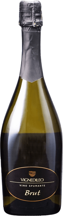 ヴィーノ　スプマンテ　ブリュット　ヴェルディッキオ