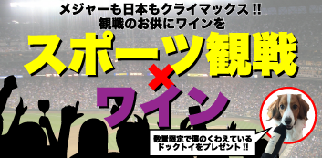 スポーツ観戦×ワイン