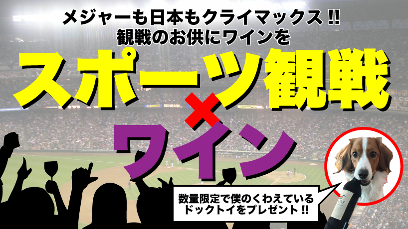 スポーツ観戦×ワイン