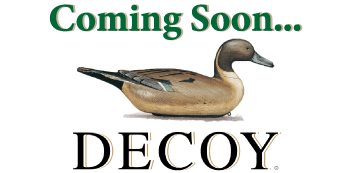 デコイキャンペーン（予告）