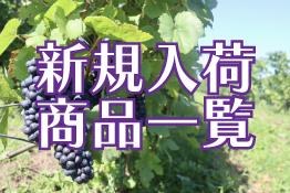 新規入荷商品一覧